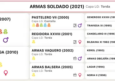 Armas Soldado Disponible Cubriciones