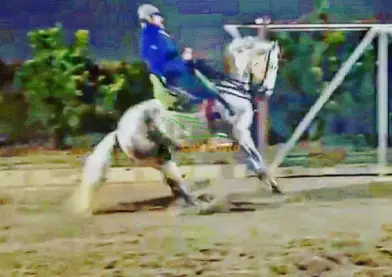 Se Vende Yegua P.R.E, 11 años, 1’65 a la cruz.