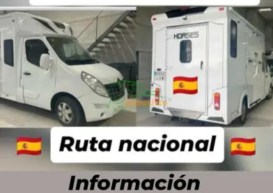 TRANSPORTES DE CABALLOS  SURESTE
